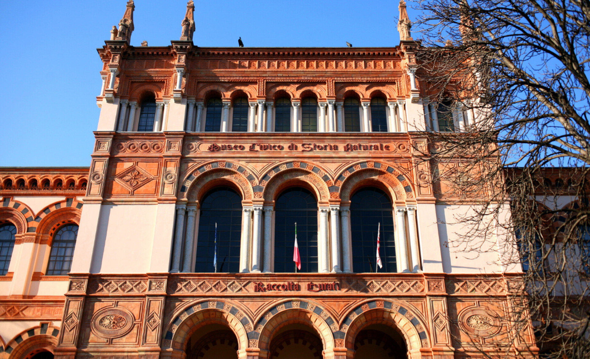 Milan: Natural History Museum Entry Ticket + Audio Guide